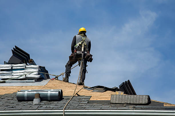 Professional Roof Replacement technician working in Fort Ransom, ND